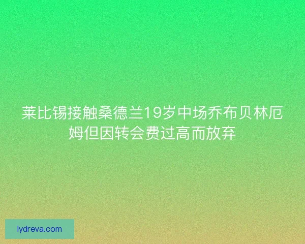 莱比锡接触桑德兰19岁中场乔布贝林厄姆但因转会费过高而放弃